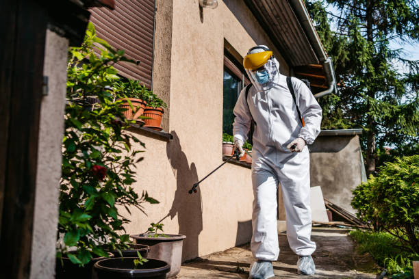 Best Mosquito Control Services  in Navarre Beach, FL