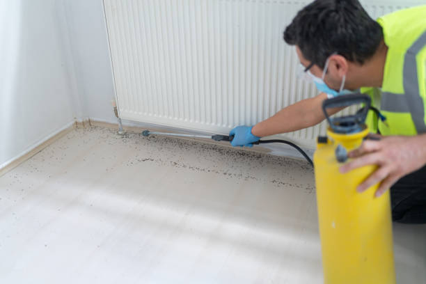 Best Affordable Pest Control Services  in Navarre Beach, FL