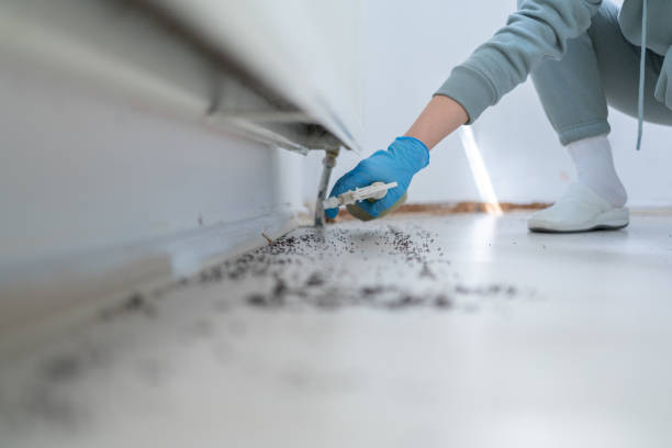Insect Control in Navarre Beach, FL